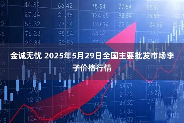 金诚无忧 2025年5月29日全国主要批发市场李子价格行情