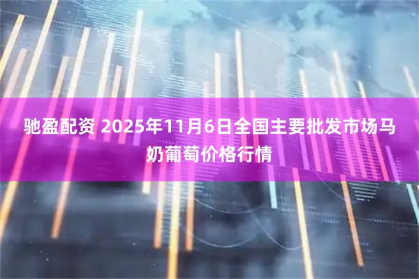 驰盈配资 2025年11月6日全国主要批发市场马奶葡萄价格行情
