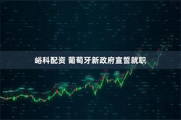 峪科配资 葡萄牙新政府宣誓就职